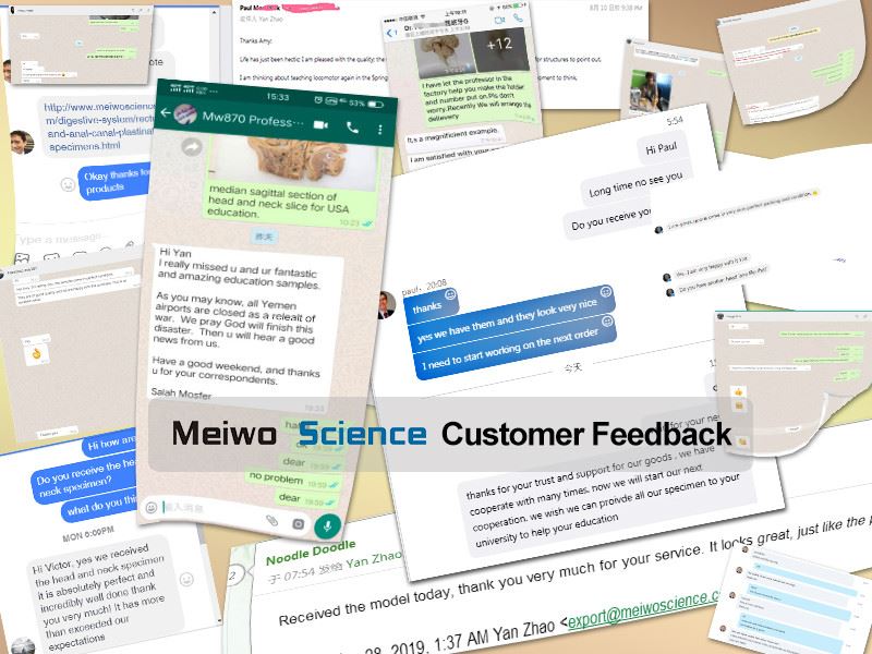Customer Feedback