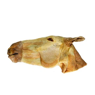 Ανατομία Πλαστικοποίησης Κεφαλής